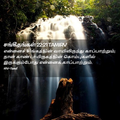 Picture 02 - சங்கீதங்கள் 22:21 TAMIRV - என்னைச் - Bible Verse Picture