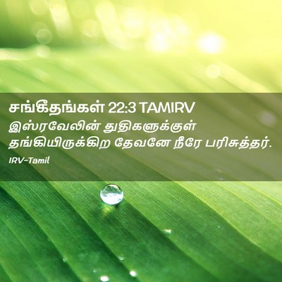 Picture 02 - சங்கீதங்கள் 22:3 TAMIRV - இஸ்ரவேலின் - Bible Verse Picture