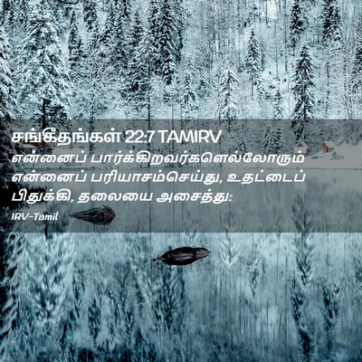 Picture 02 - சங்கீதங்கள் 22:7 TAMIRV - என்னைப் - Bible Verse Picture