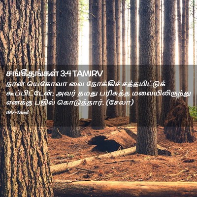 Picture 02 - சங்கீதங்கள் 3:4 TAMIRV - நான் யெகோவா வை - Bible Verse Picture