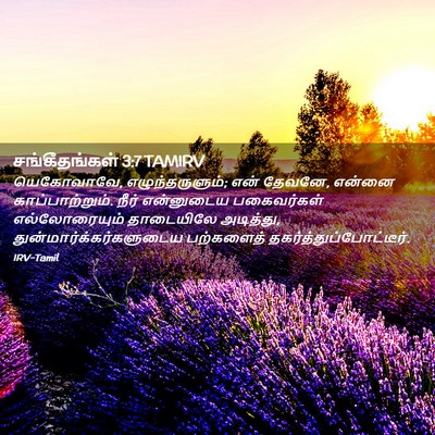 Picture 02 - சங்கீதங்கள் 3:7 TAMIRV - யெகோவாவே, - Bible Verse Picture