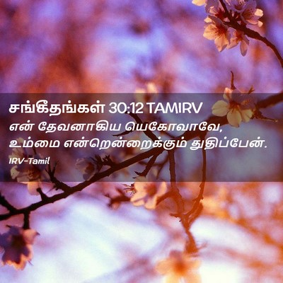 Picture 02 - சங்கீதங்கள் 30:12 TAMIRV - என் தேவனாகிய - Bible Verse Picture