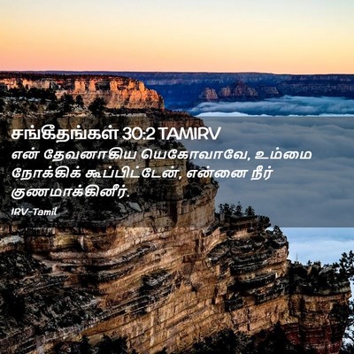 Picture 02 - சங்கீதங்கள் 30:2 TAMIRV - என் தேவனாகிய - Bible Verse Picture