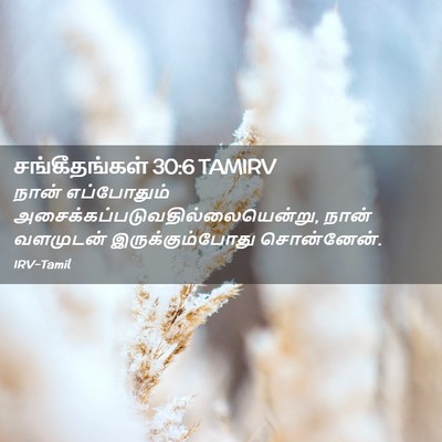 Picture 02 - சங்கீதங்கள் 30:6 TAMIRV - நான் எப்போதும் - Bible Verse Picture