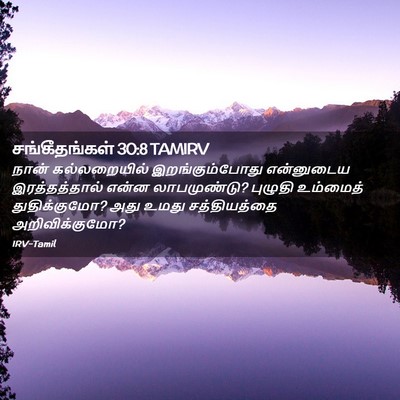 Picture 02 - சங்கீதங்கள் 30:8 TAMIRV - நான் கல்லறையில் - Bible Verse Picture