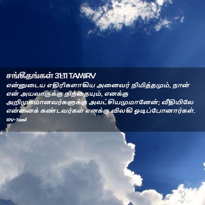Picture 02 - சங்கீதங்கள் 31:11 TAMIRV - என்னுடைய - Bible Verse Picture