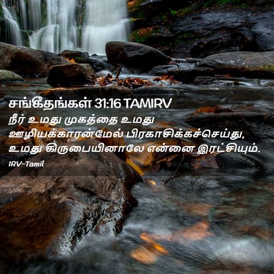 Picture 02 - சங்கீதங்கள் 31:16 TAMIRV - நீர் உமது முகத்தை - Bible Verse Picture