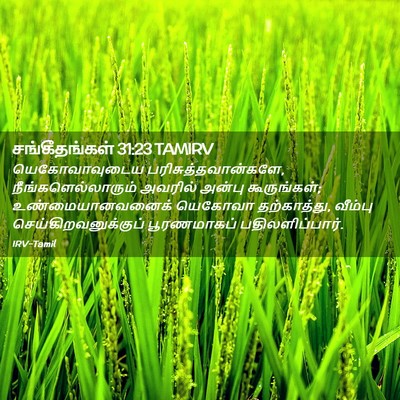 Picture 02 - சங்கீதங்கள் 31:23 TAMIRV - யெகோவாவுடைய - Bible Verse Picture