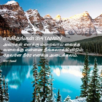 Picture 02 - சங்கீதங்கள் 31:4 TAMIRV - அவர்கள் எனக்கு - Bible Verse Picture
