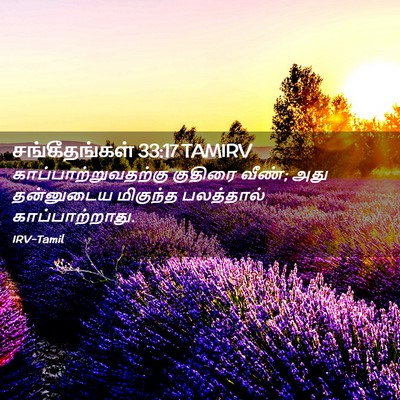 Picture 02 - சங்கீதங்கள் 33:17 TAMIRV - காப்பாற்றுவதற்கு - Bible Verse Picture