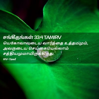 Picture 02 - சங்கீதங்கள் 33:4 TAMIRV - யெகோவாவுடைய - Bible Verse Picture