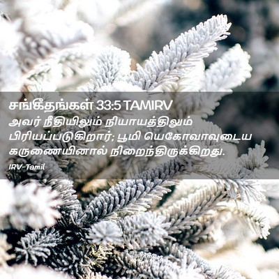 Picture 02 - சங்கீதங்கள் 33:5 TAMIRV - அவர் நீதியிலும் - Bible Verse Picture