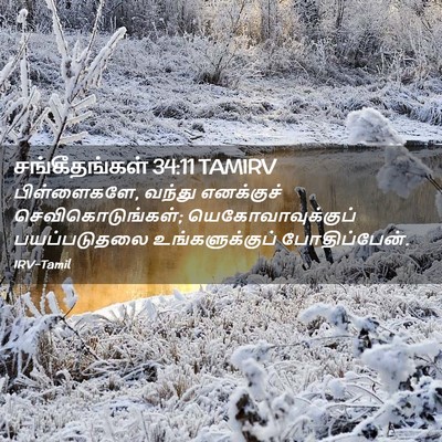Picture 02 - சங்கீதங்கள் 34:11 TAMIRV - பிள்ளைகளே, வந்து - Bible Verse Picture