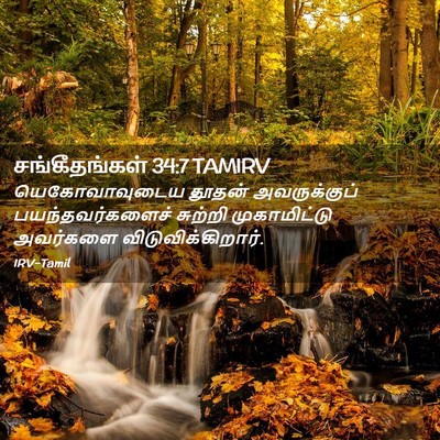 Picture 02 - சங்கீதங்கள் 34:7 TAMIRV - யெகோவாவுடைய தூதன் - Bible Verse Picture