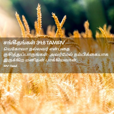 Picture 02 - சங்கீதங்கள் 34:8 TAMIRV - யெகோவா நல்லவர் - Bible Verse Picture