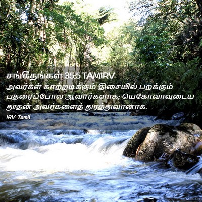 Picture 02 - சங்கீதங்கள் 35:5 TAMIRV - அவர்கள் - Bible Verse Picture