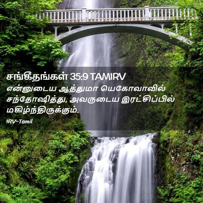 Picture 02 - சங்கீதங்கள் 35:9 TAMIRV - என்னுடைய ஆத்துமா - Bible Verse Picture