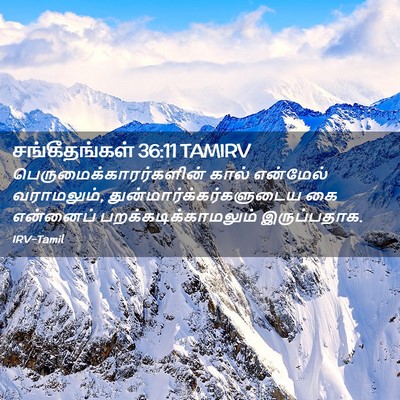 Picture 02 - சங்கீதங்கள் 36:11 TAMIRV -  - Bible Verse Picture