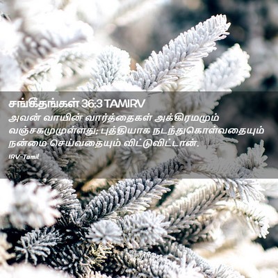Picture 02 - சங்கீதங்கள் 36:3 TAMIRV - அவன் வாயின் - Bible Verse Picture