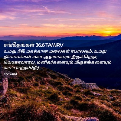 Picture 02 - சங்கீதங்கள் 36:6 TAMIRV - உமது நீதி மகத்தான - Bible Verse Picture