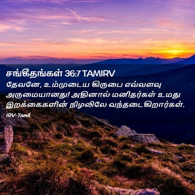 Picture 02 - சங்கீதங்கள் 36:7 TAMIRV - தேவனே, உம்முடைய - Bible Verse Picture