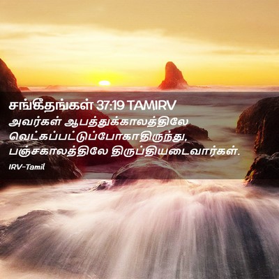 Picture 02 - சங்கீதங்கள் 37:19 TAMIRV - அவர்கள் - Bible Verse Picture