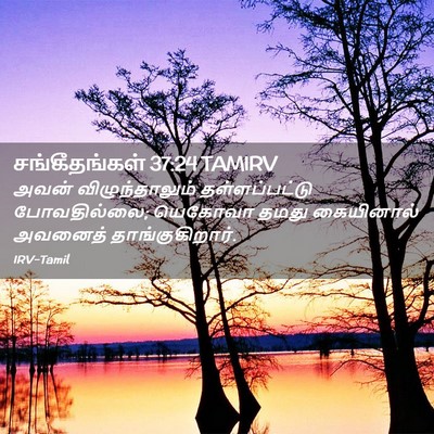 Picture 02 - சங்கீதங்கள் 37:24 TAMIRV - அவன் விழுந்தாலும் - Bible Verse Picture