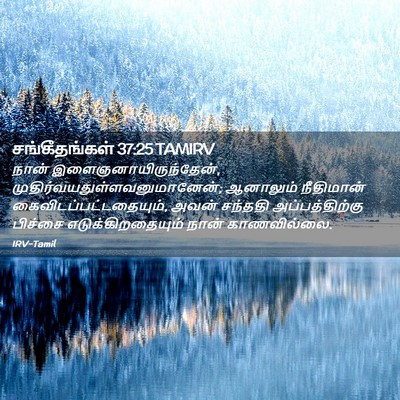 Picture 02 - சங்கீதங்கள் 37:25 TAMIRV - நான் - Bible Verse Picture