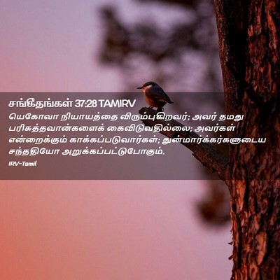 Picture 02 - சங்கீதங்கள் 37:28 TAMIRV - யெகோவா நியாயத்தை - Bible Verse Picture