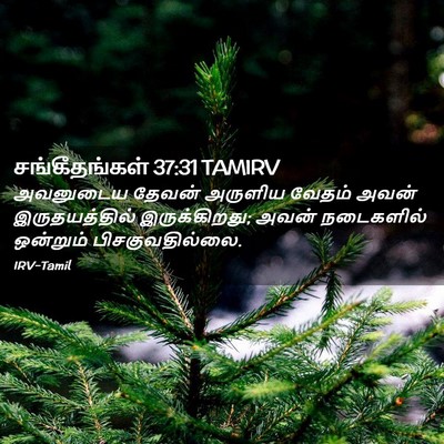 Picture 02 - சங்கீதங்கள் 37:31 TAMIRV - அவனுடைய தேவன் - Bible Verse Picture