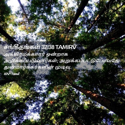 Picture 02 - சங்கீதங்கள் 37:38 TAMIRV - அக்கிரமக்காரர் - Bible Verse Picture