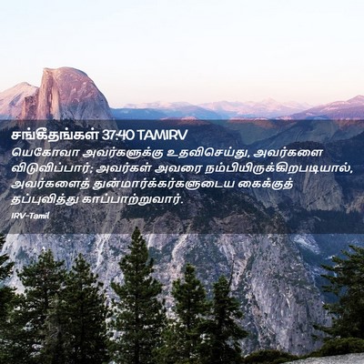 Picture 02 - சங்கீதங்கள் 37:40 TAMIRV - யெகோவா - Bible Verse Picture