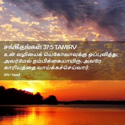 Picture 02 - சங்கீதங்கள் 37:5 TAMIRV - உன் வழியைக் - Bible Verse Picture