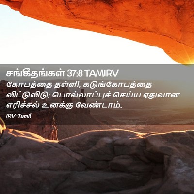 Picture 02 - சங்கீதங்கள் 37:8 TAMIRV - கோபத்தை தள்ளி, - Bible Verse Picture