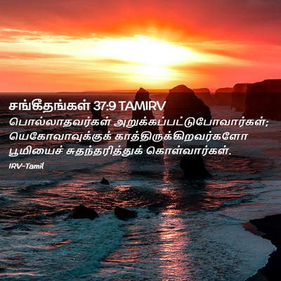 Picture 02 - சங்கீதங்கள் 37:9 TAMIRV - பொல்லாதவர்கள் - Bible Verse Picture