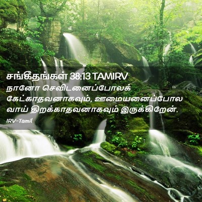 Picture 02 - சங்கீதங்கள் 38:13 TAMIRV - நானோ - Bible Verse Picture