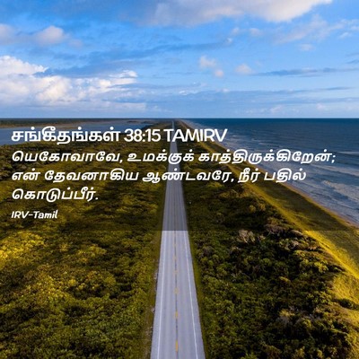 Picture 02 - சங்கீதங்கள் 38:15 TAMIRV - யெகோவாவே, - Bible Verse Picture