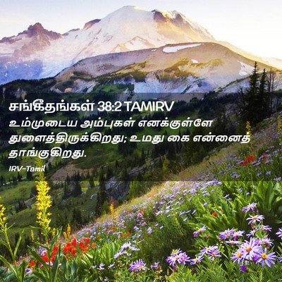 Picture 02 - சங்கீதங்கள் 38:2 TAMIRV - உம்முடைய அம்புகள் - Bible Verse Picture