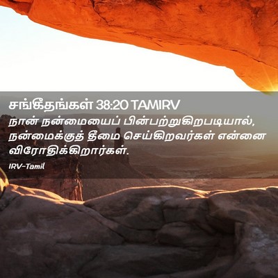 Picture 02 - சங்கீதங்கள் 38:20 TAMIRV - நான் நன்மையைப் - Bible Verse Picture