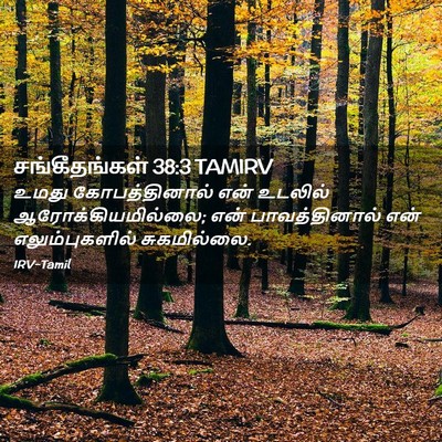 Picture 02 - சங்கீதங்கள் 38:3 TAMIRV - உமது கோபத்தினால் - Bible Verse Picture