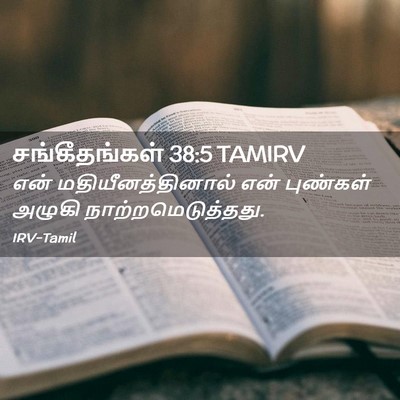 Picture 02 - சங்கீதங்கள் 38:5 TAMIRV - என் - Bible Verse Picture