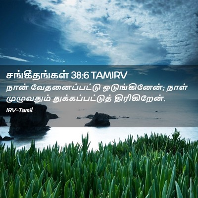 Picture 02 - சங்கீதங்கள் 38:6 TAMIRV - நான் வேதனைப்பட்டு - Bible Verse Picture