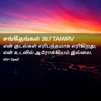 Picture 02 - சங்கீதங்கள் 38:7 TAMIRV - என் குடல்கள் - Bible Verse Picture