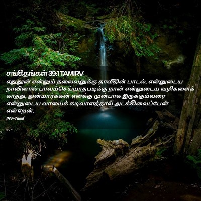 Picture 02 - சங்கீதங்கள் 39:1 TAMIRV - எதுதூன் என்னும் - Bible Verse Picture