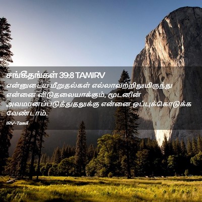 Picture 02 - சங்கீதங்கள் 39:8 TAMIRV - என்னுடைய - Bible Verse Picture