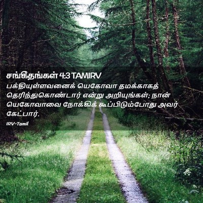 Picture 02 - சங்கீதங்கள் 4:3 TAMIRV - பக்தியுள்ளவனைக் - Bible Verse Picture