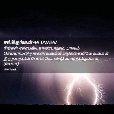 Picture 02 - சங்கீதங்கள் 4:4 TAMIRV - நீங்கள் - Bible Verse Picture