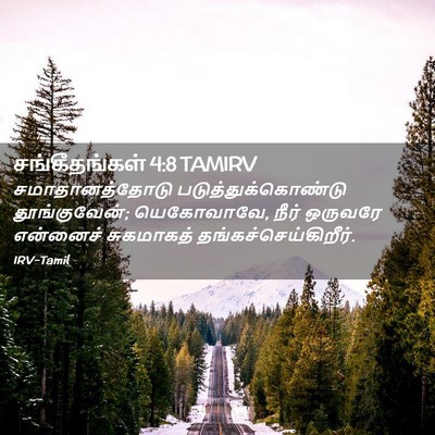 Picture 02 - சங்கீதங்கள் 4:8 TAMIRV - சமாதானத்தோடு - Bible Verse Picture