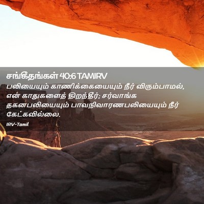 Picture 02 - சங்கீதங்கள் 40:6 TAMIRV - பலியையும் - Bible Verse Picture