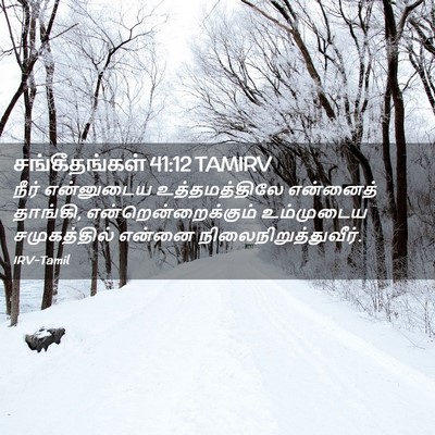Picture 02 - சங்கீதங்கள் 41:12 TAMIRV - நீர் என்னுடைய - Bible Verse Picture